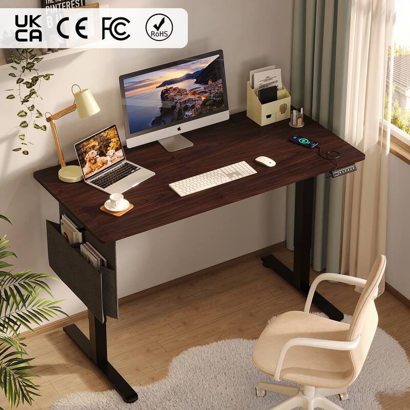 Standing Desk Electric Ergonomic Office Desk Computer Desk Height Adjustable Table with USB Port