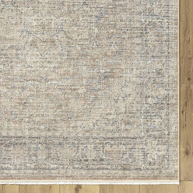 Galey Alix x Livabliss Maria Elena III Vintage Medallion Area Rug