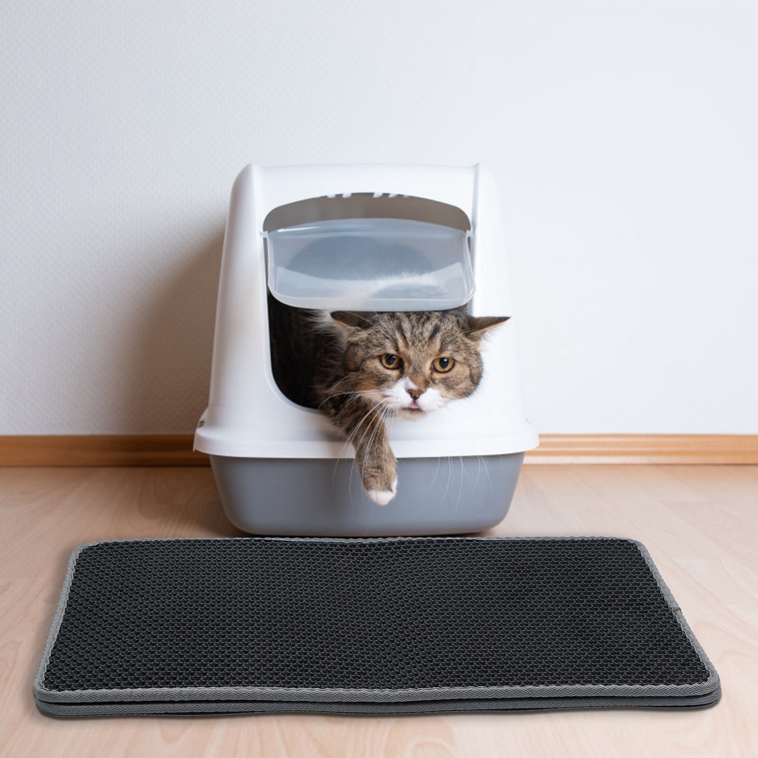 Bed bath and beyond cat litter mat cheap