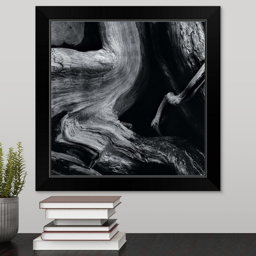 Shop Dead Tree Trunk Black Framed Print Free Shipping Today
