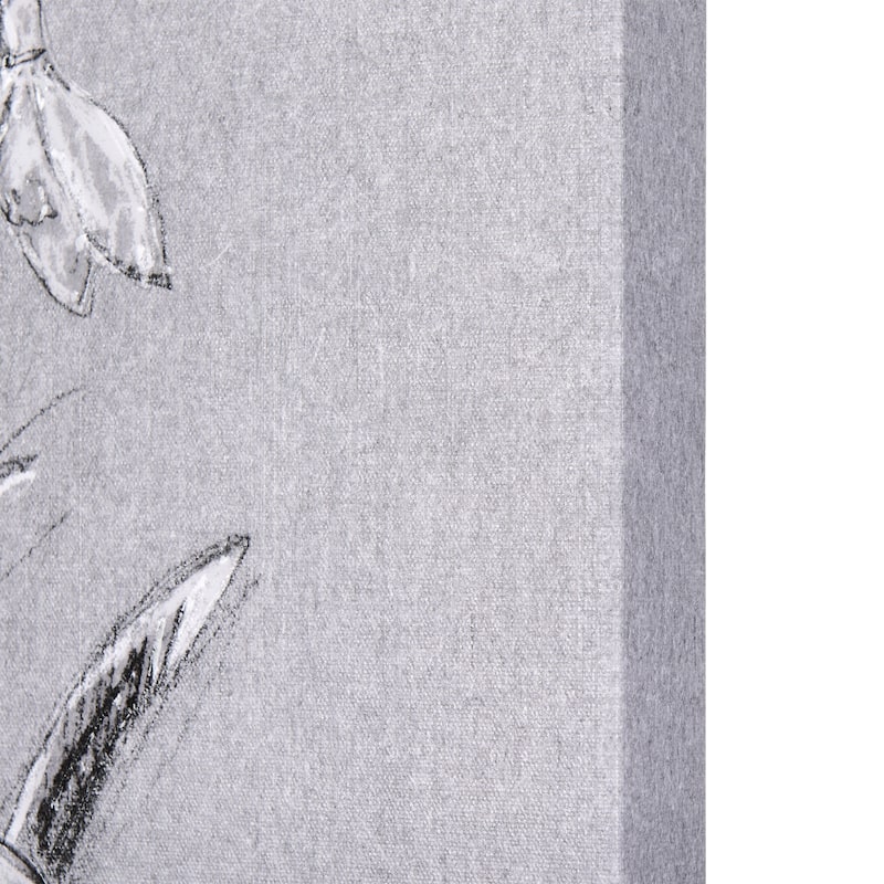 Botanical Sketches VI (Grey) (36 x 60) Canvas Art Print