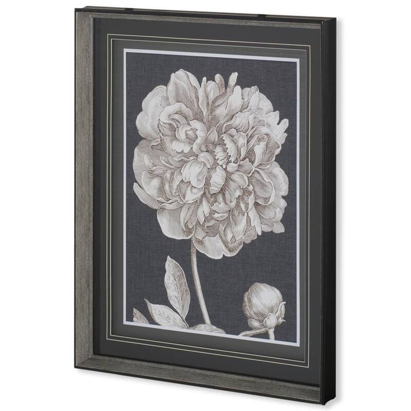Dramatic Peony I Framed Art Print