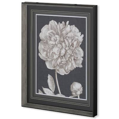 Dramatic Peony I Framed Art Print