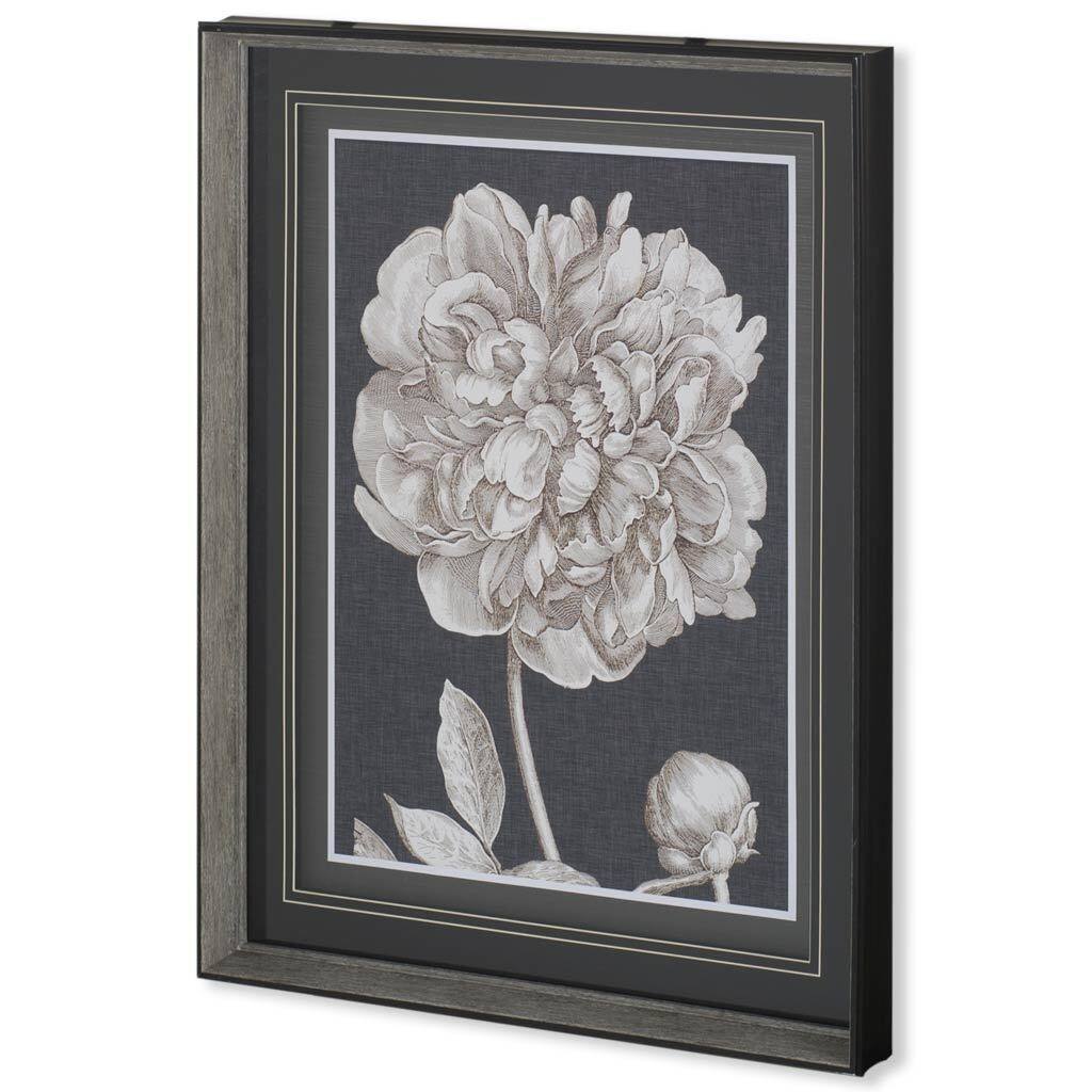 Dramatic Peony I Framed Art Print