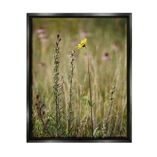 Stupell Yellow Daisy Sprout Framed Floater Canvas Wall Art Design by ...