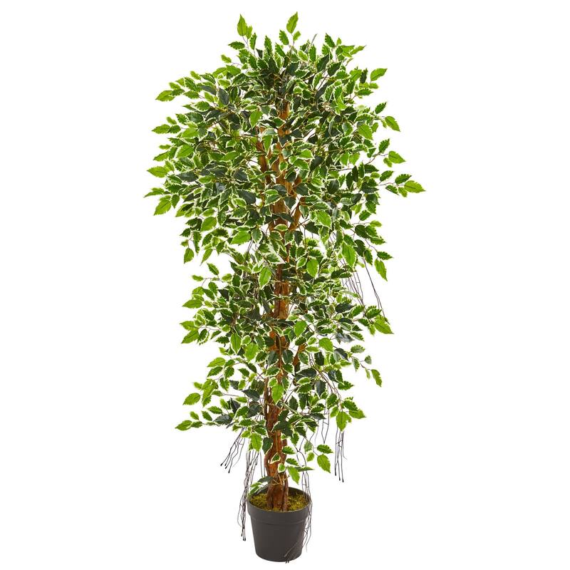 5 Ft Artificial Tree - Elegant Zen Zone Indoor Decor - Green Tan Leaves - Office Waiting Room Accent - 51-60 Inches