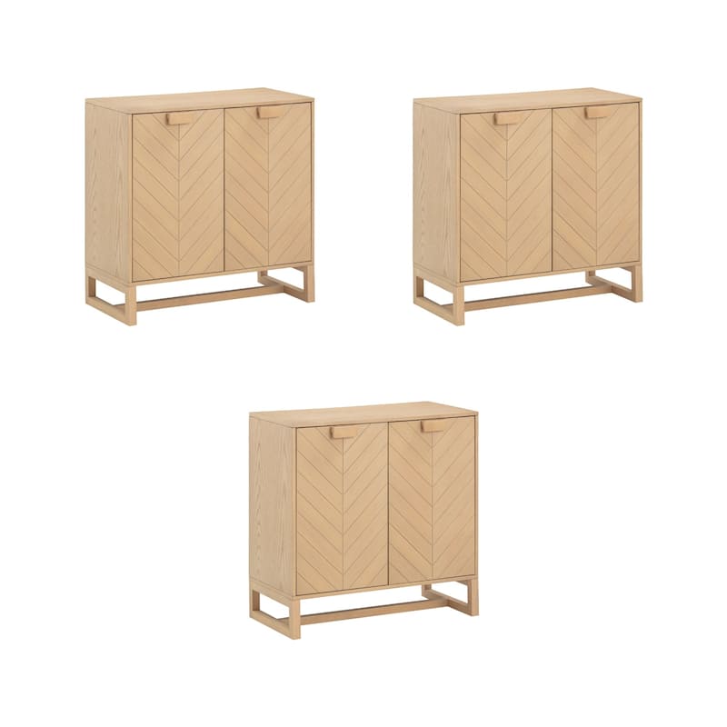 Nathan James Enloe Rustic Doors Metal Base Free Standing Modern Storage Cabinet for Entryway