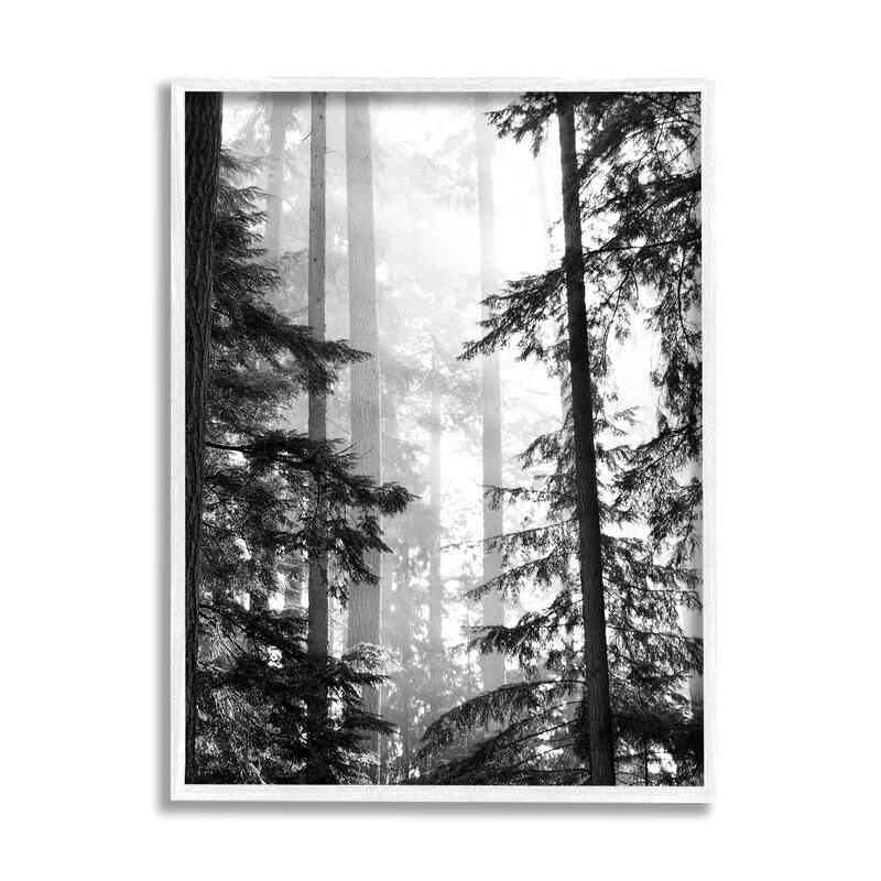 Stupell Forest Light Shining Through Tall Trees Landscape Photography Framed Wall Art - 16 x 20 - White