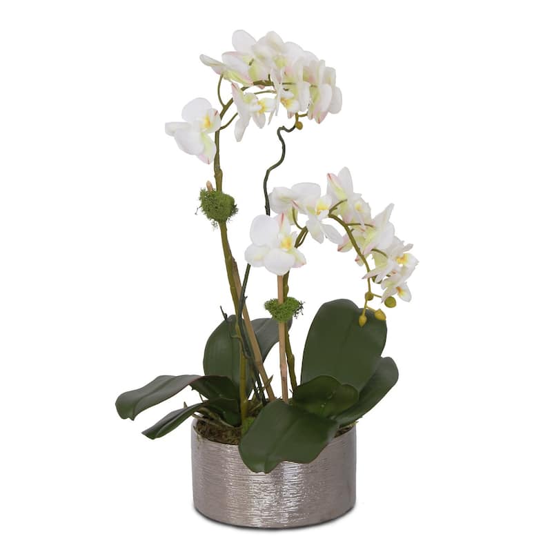 Real Touch White Orchid Flower Arrangement in Round Silver Ceramic Pot - 10W x 8D x 15H