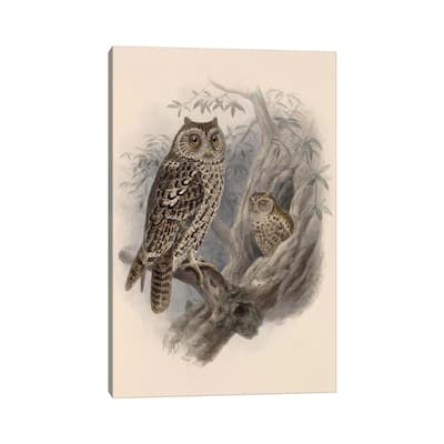 iCanvas "Tree Owls, 1902" by Vintage Apple Collection Canvas Print