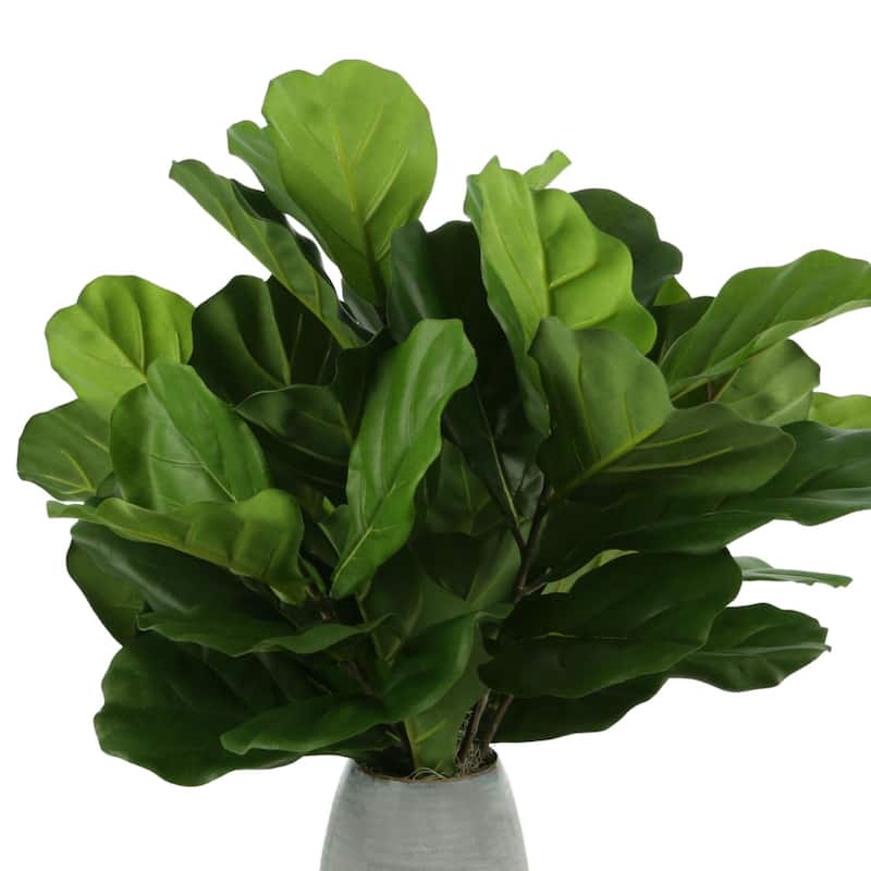Organic Modern Fiddle Leaf in a ceramic vase - Green
