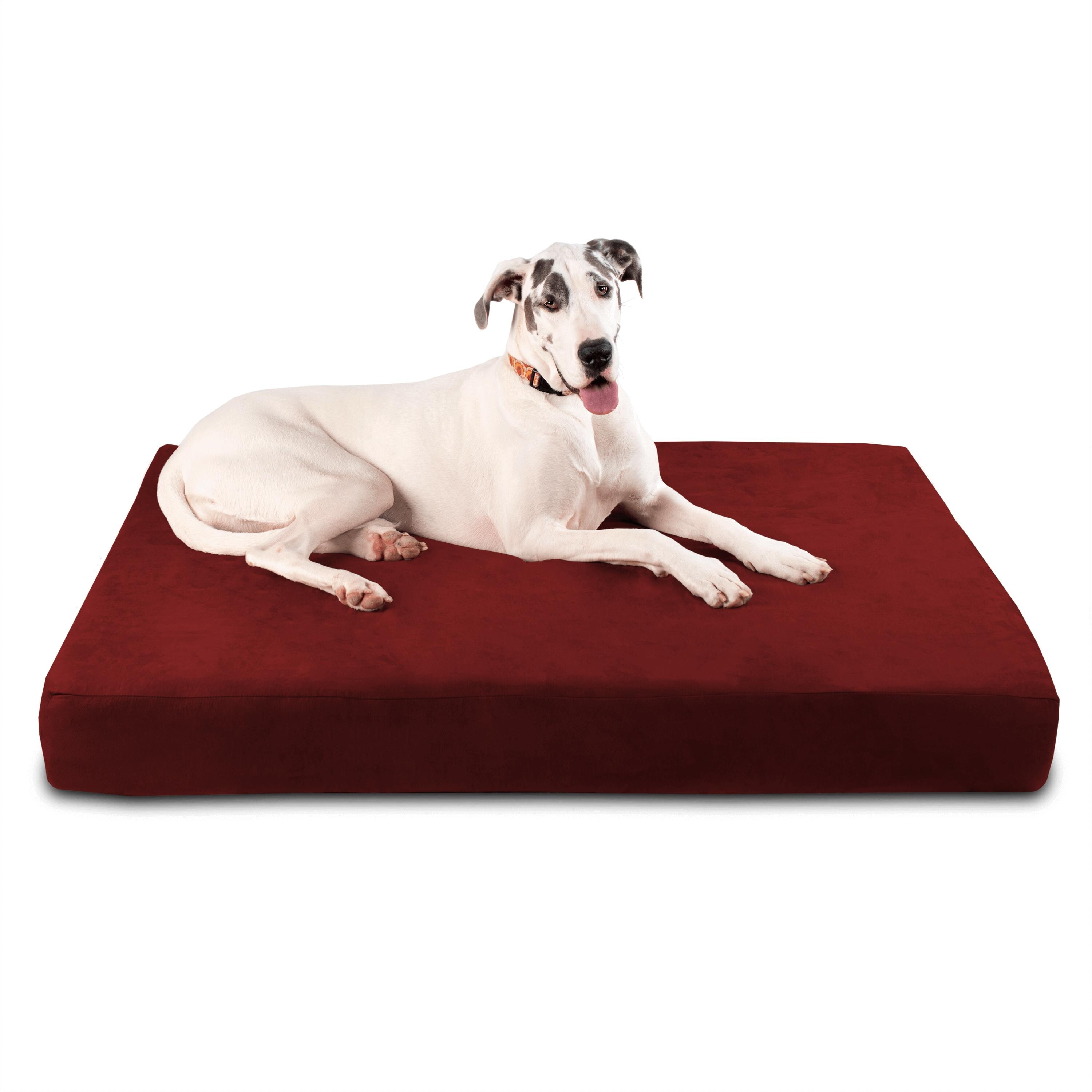 barker bed for dogs