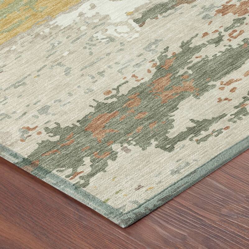 Machine Washable Indoor/ Outdoor Modern Buena Chantille Rug