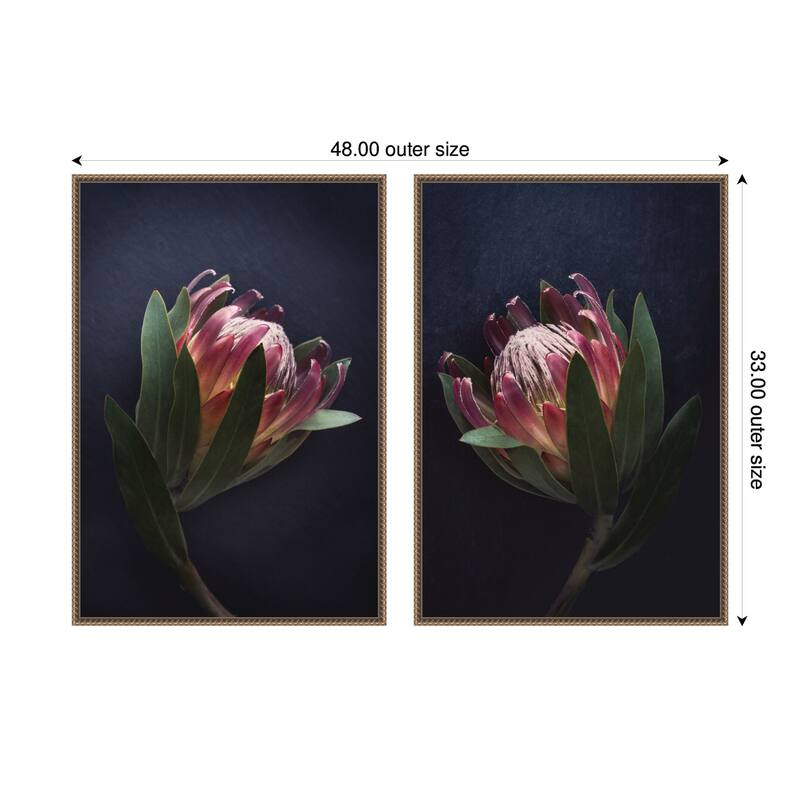 Kate and Laurel Moody ProteaNo. 1 & No. 2 2 Piece Framed Canvas Wall Art Set by Emiko and Mark Franzen F2 Images