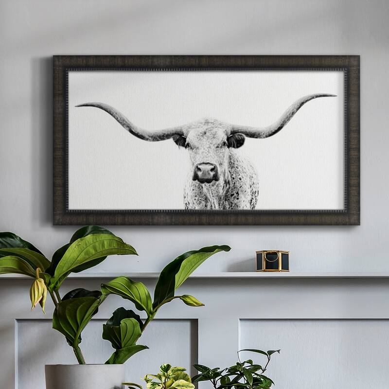 Longhorn Gaze Premium Framed Canvas- Ready to Hang