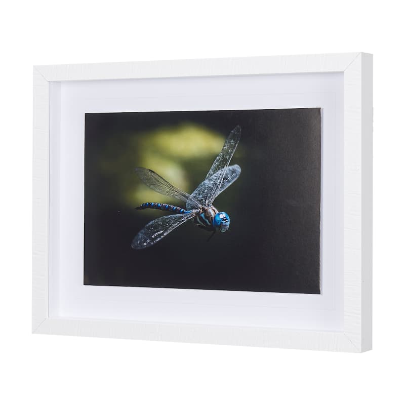 Dragon Fly Framed Art Print