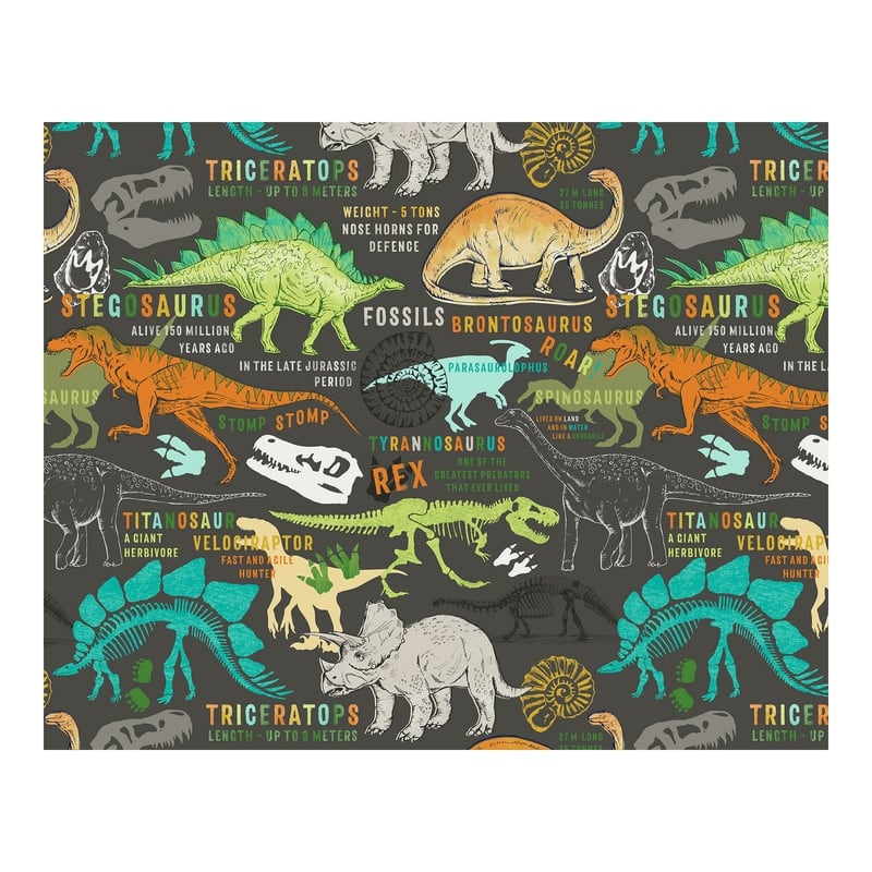 Dinosaurs Wall Mural