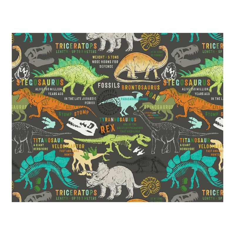 Dinosaurs Wall Mural