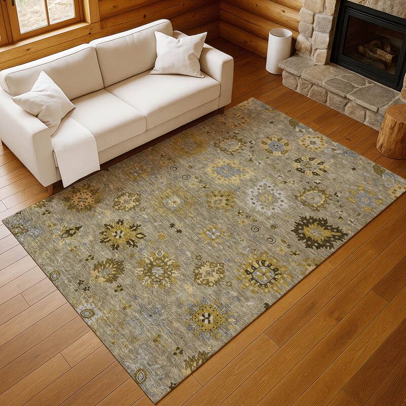 Machine Washable Indoor/ Outdoor Vintage Traditional Chantille Rug