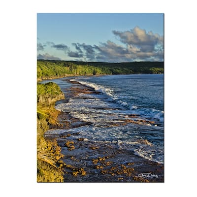 Ready2HangArt 'Breakaway II' Wrapped Canvas Wall Art