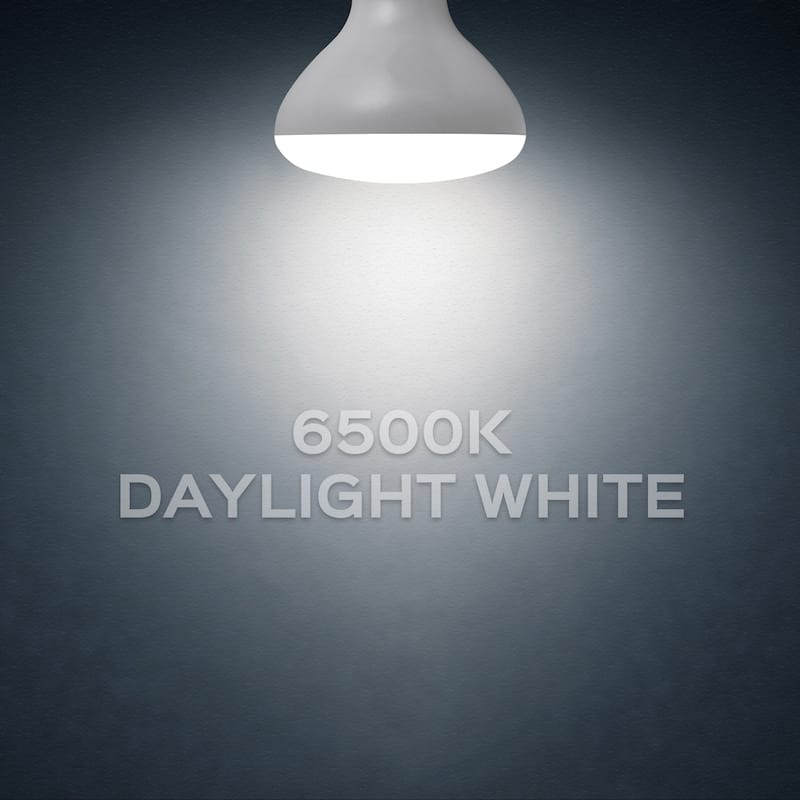Luxrite BR30 LED Flood Light Bulb Dimmable 650 Lumens 9W=65W E26 Base Energy Star UL Listed Damp Rated 12-Pack