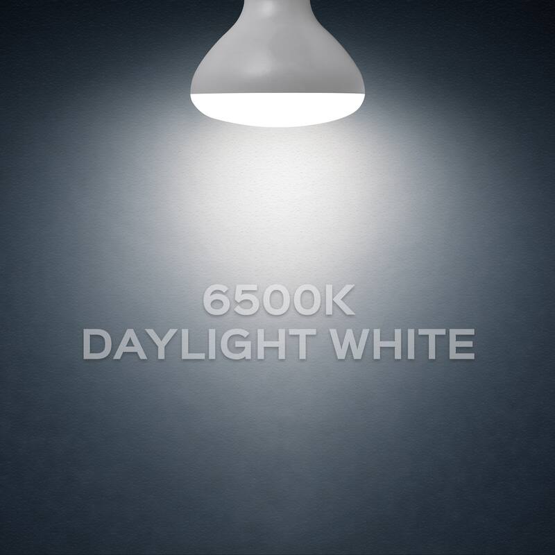Luxrite BR30 LED Flood Light Bulb Dimmable 650 Lumens 9W=65W E26 Base Energy Star UL Listed Damp Rated 4-Pack