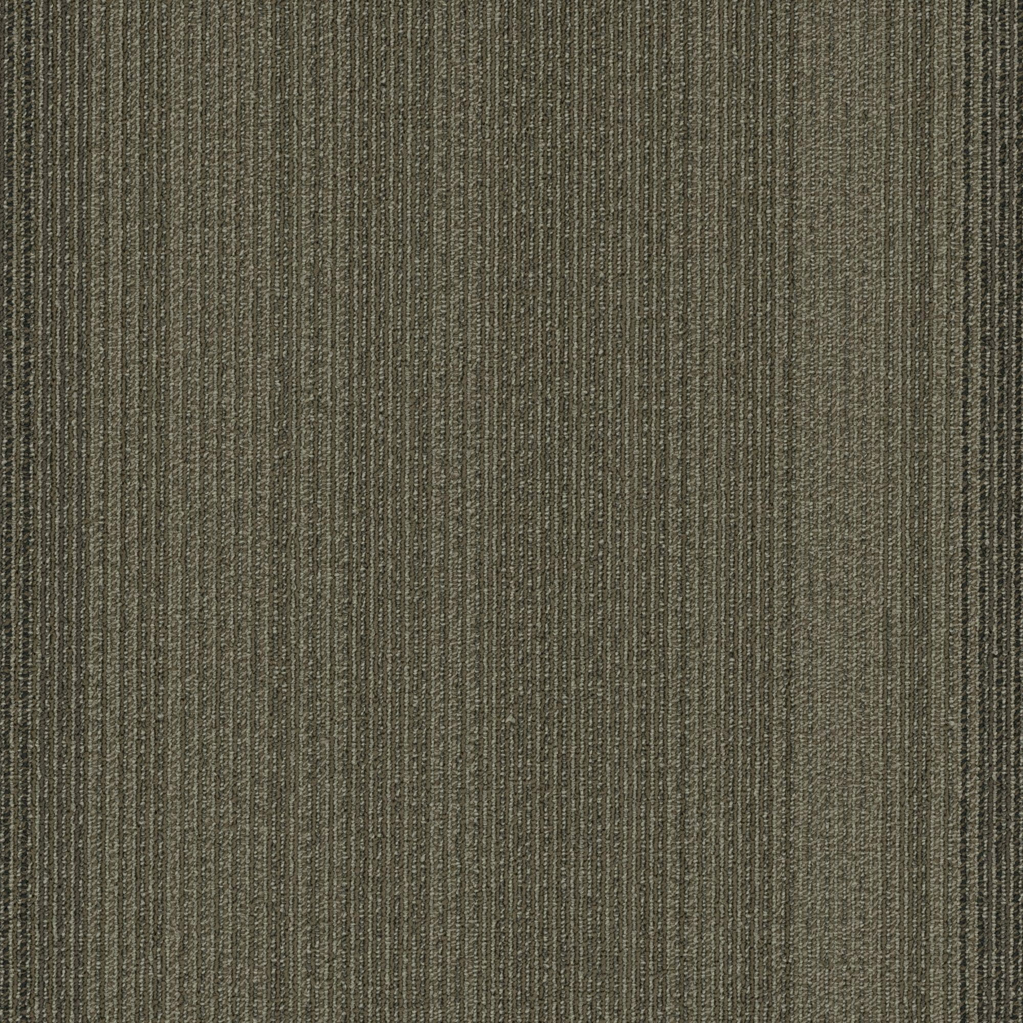 Shaw Philadelphia Commercial Practical 24" x 24" Glue Down Carpet Tile