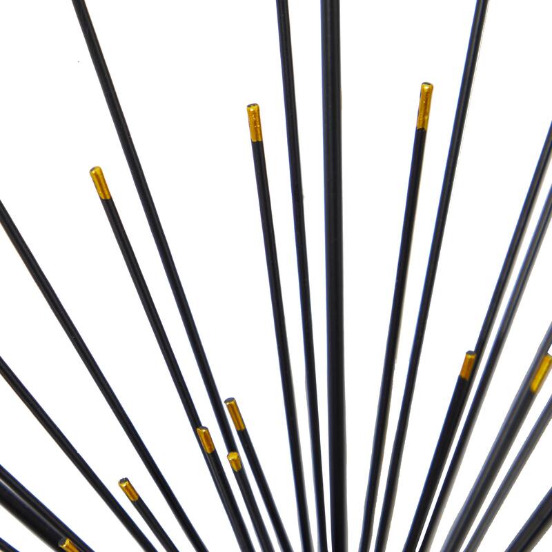 Black Metal Sea Urchin Starburst Wall Decor with Black Frame