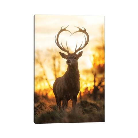 iCanvas "Heart Shaped Antlers IV" by Max Ellis Canvas Print