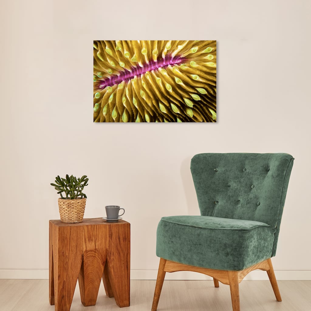 Wynwood Studio Nautical and Coastal David Fleetham - Mushroom Coral Yellow and Pink Bohemian & Eclectic Wall Art Canvas Print