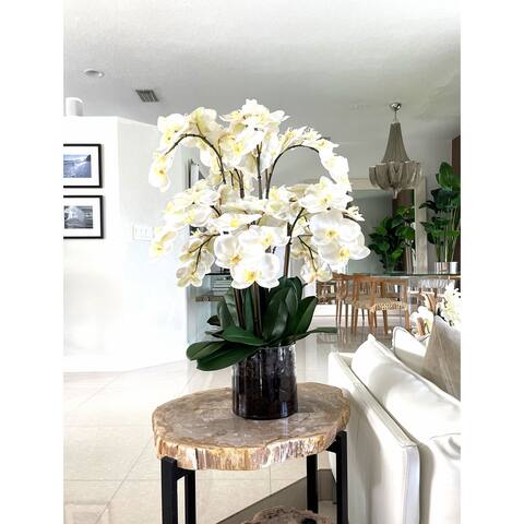 Phalaenopsis Orchids In Glass Planter - N/A
