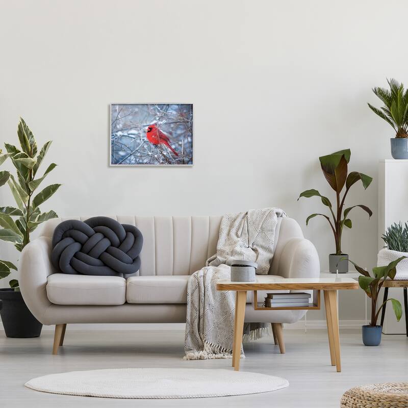 Stupell Cardinal in Winter Branches Framed Giclee Art Design by Karen Burke