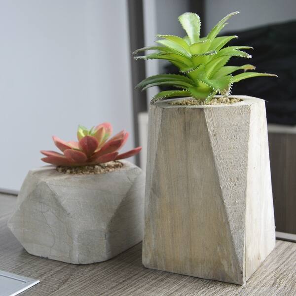Decorative 2 Piece Succulent Artificial Green Plants with Wood Pot