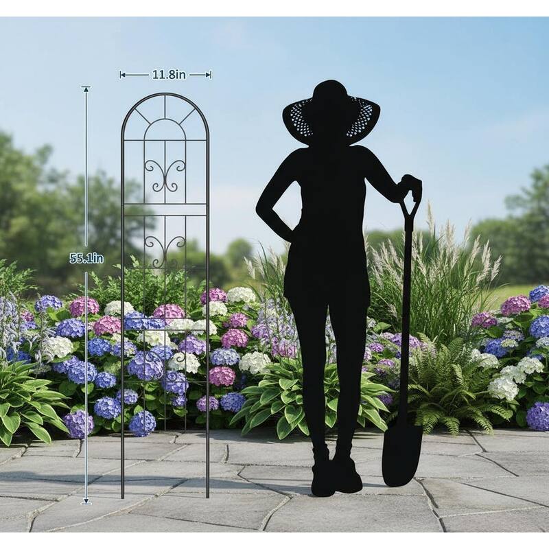 5.5ft Tall Metal Trellis, for Flowers, Vines & Vegetables