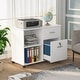 preview thumbnail 17 of 20, Mobile Lateral File Pedesta, 2 Drawer File Cabinet with Lock White
