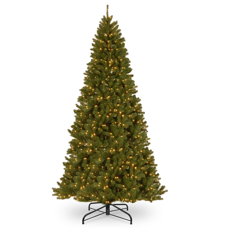 National Tree Company 10 ft. North Valley Spruce Tree with Clear Lights - 10 Foot
