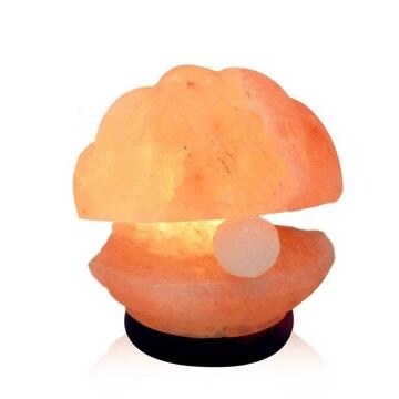 Bed bath and shop beyond salt lamp