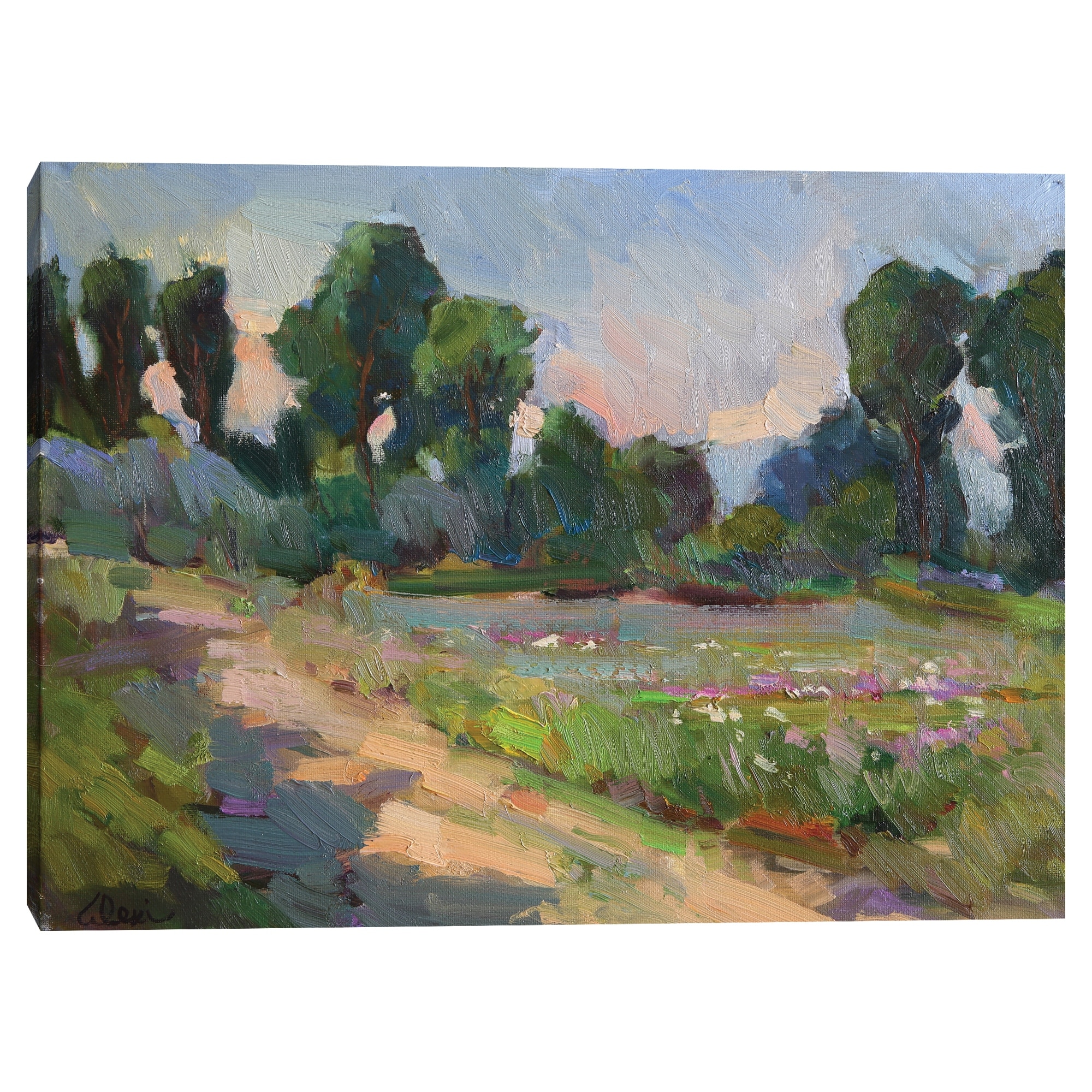 Idaho Spring by Alexi Fine Canvas Art Print