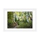 preview thumbnail 16 of 18, iCanvas "Birch Trees & Tall Grass" by Danny Head White - 16x24x1