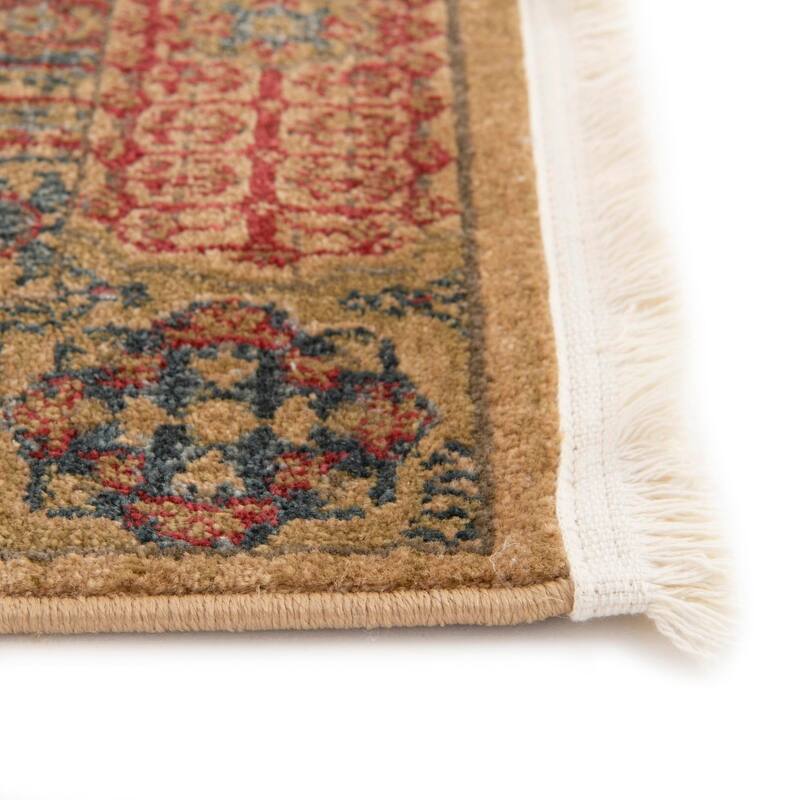 Traditional Cassia Collection Area Rug