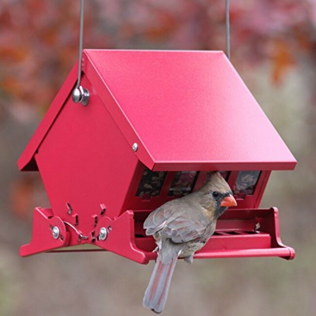 Mini Audubon 7458 4 Lb Capacity Squirrel Proof Bird Feeder Mini Audubon 7458 4 Lb Capacity Squirrel Proof Bird Feeder