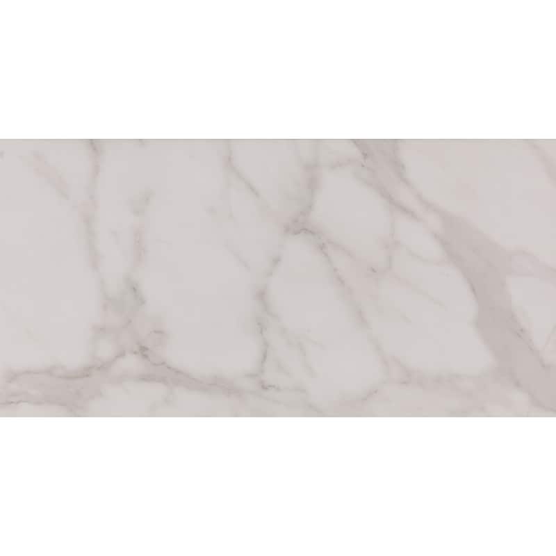 Daltile Core Fundamentals Platinum 12" x 24" Floor Tile (9 PC Per Carton) (17.60 SQFT Per Carton)