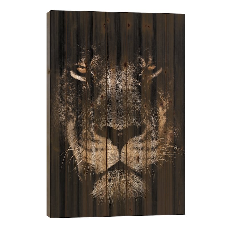 Dark Lion, Close-Up Print On Wood by Wouter Rikken - Multi-Color - 26x18x1.5