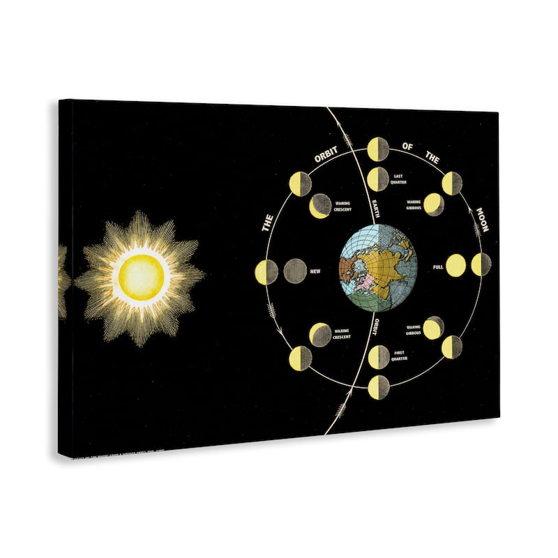 Stupell Moon's Orbit & Phases Canvas Wall Art Design By Phillipa Katz