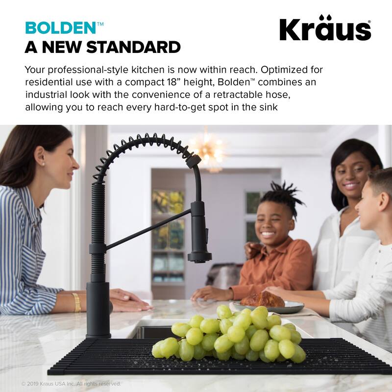 Kraus Bolden 2-Function 1-Handle Commercial Pulldown Kitchen Faucet