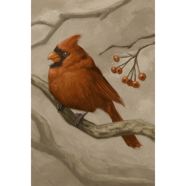 Shop Cardinal Oil Painting Lantern Press Artwork Art Print