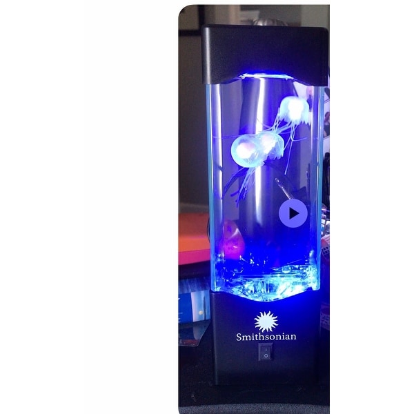 Smithsonian Jellyfish Tank Directions