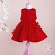 preview thumbnail 4 of 5, Special Occasion Dress with Flowers on Tulle and Skirt