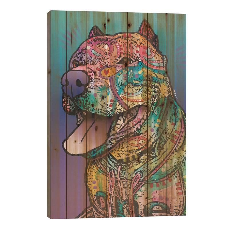 Riliad Print On Wood by Dean Russo - Multi-Color - 40x26x1.5
