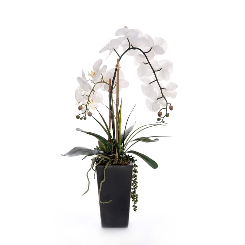 Real Touch White Orchid Flower Arrangement in Black Pot